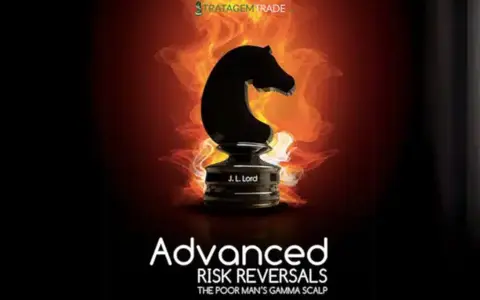 Scarica Advanced Risk Reversal – Marco Doni