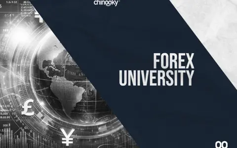 Scarica Chinooky Forex University – Chinooky