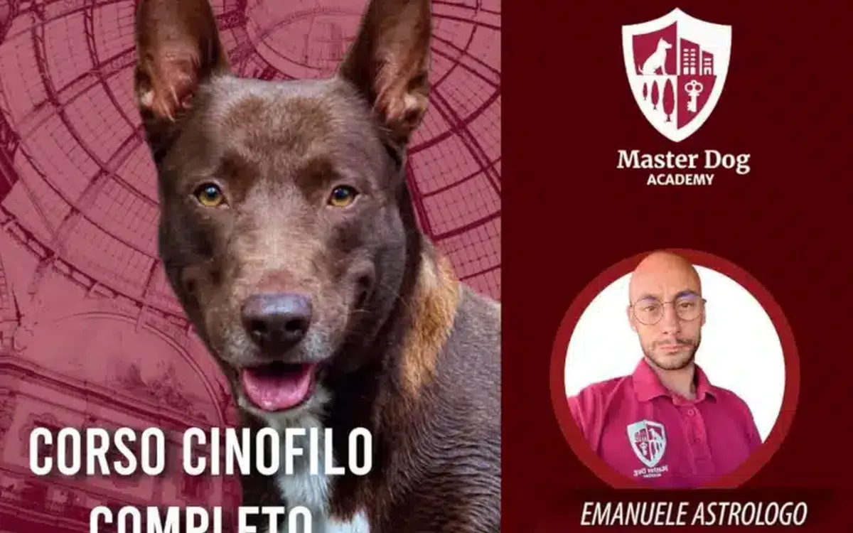 Scarica Corso Cinofilo Completo – Master Dog