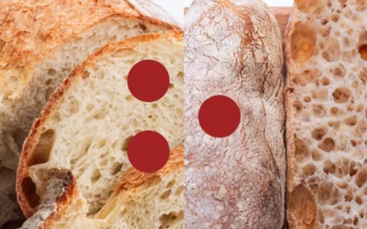 Scarica Corso Pane con Lievito di Birra – Fudemy