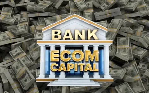 Scarica Ecom Capital Empire – Luca Valori