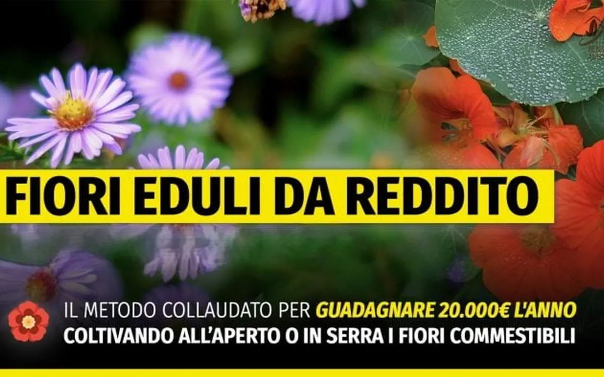 Scarica Fiori Eduli da reddito MASTER – Rendita Agricola