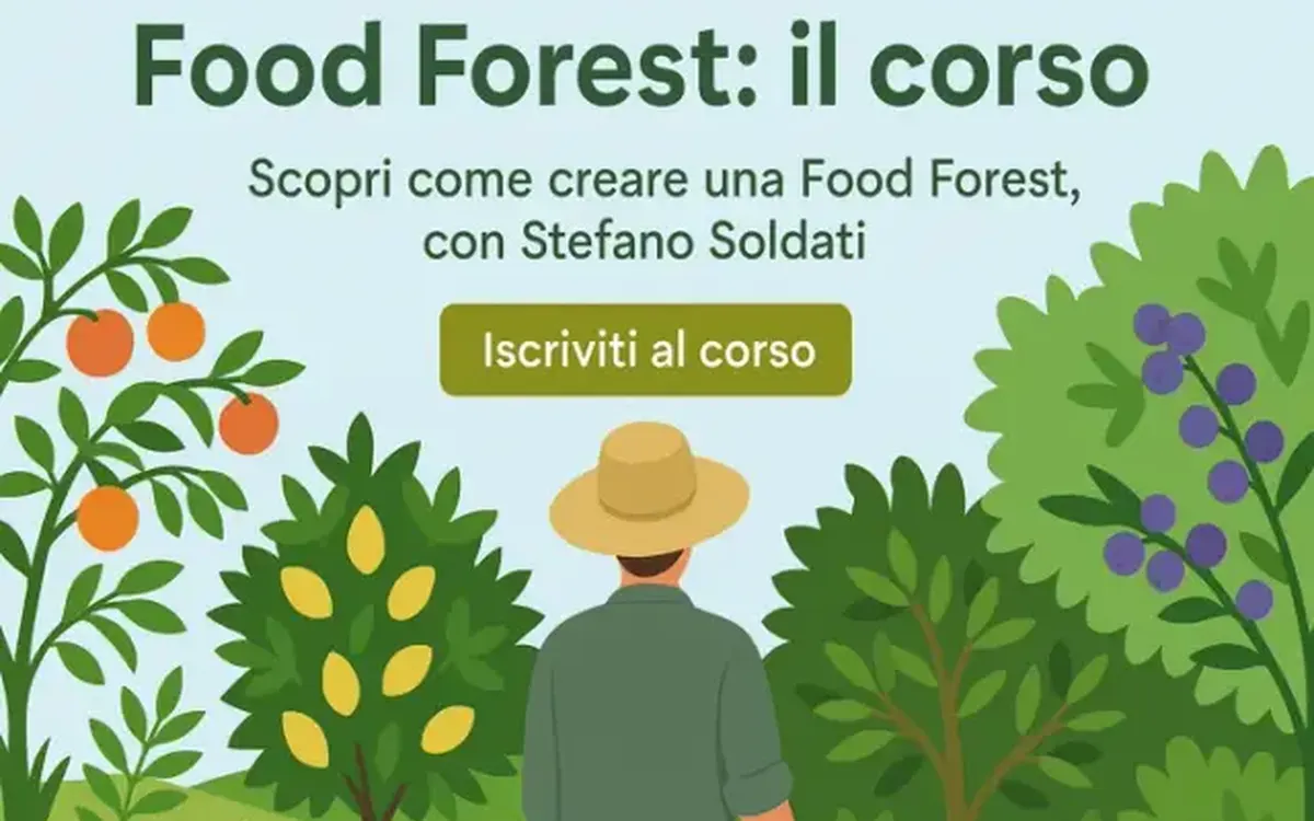 Scarica Food Forest – Bosco di Ogigia