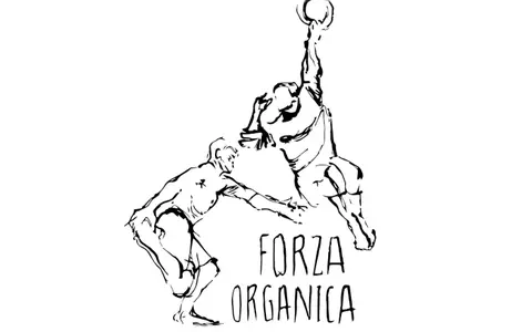 Scarica Forza Organica – MoveInside