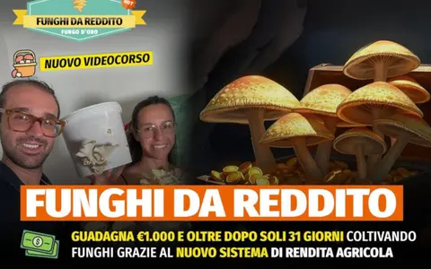 Scarica Funghi da Reddito – Rendita Agricola