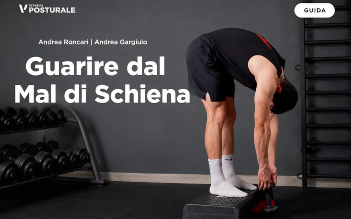 Scarica Guarire dal Mal di Schiena – Project InVictus