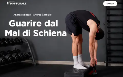 Scarica Guarire dal Mal di Schiena – Project InVictus