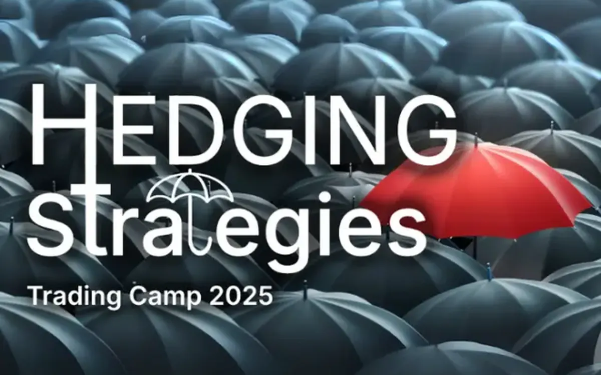 Scarica Hedging Strategies: Strategie di Copertura – QTLab