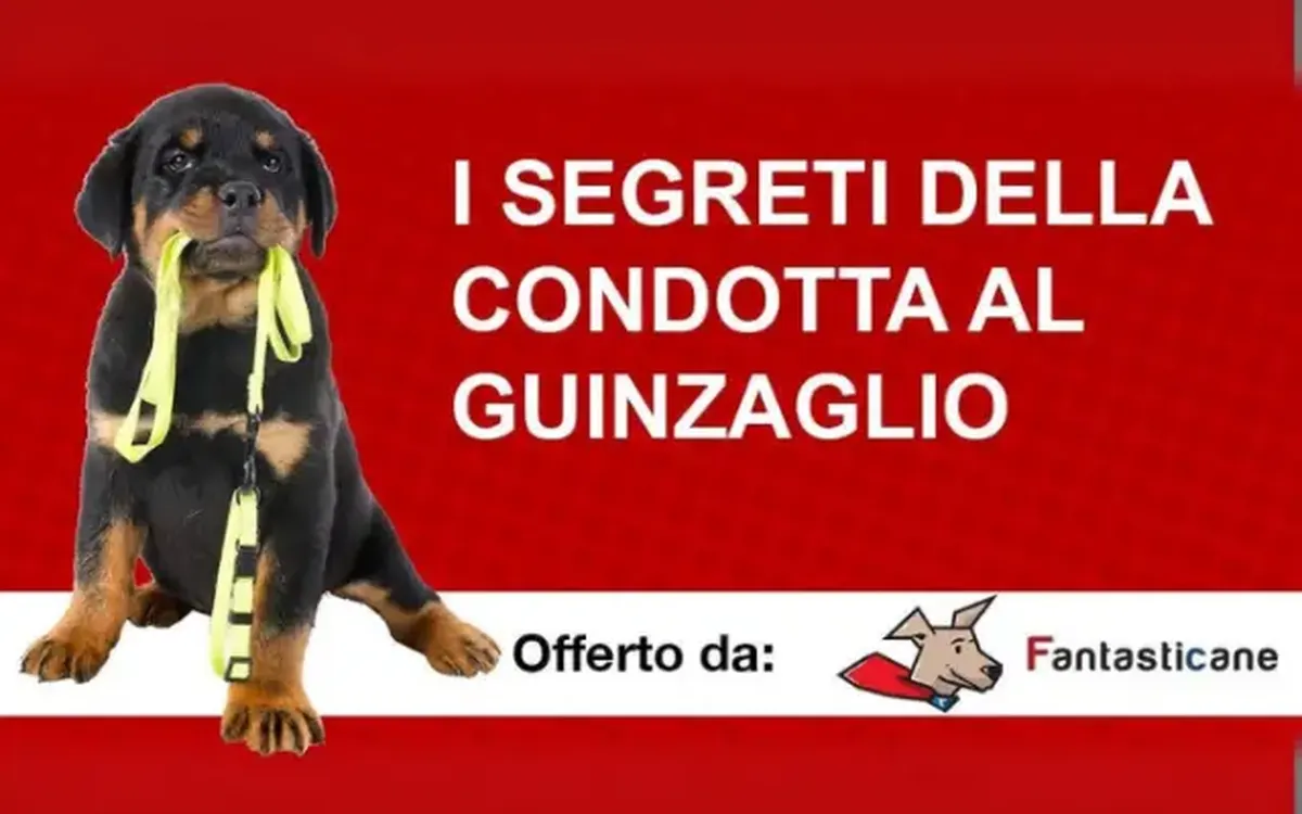Scarica I Segreti della Condotta al Guinzaglio – Fantasticane
