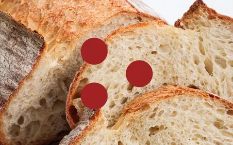 Scarica Il Pane con Lievito Madre e Lievito Misto – Fudemy