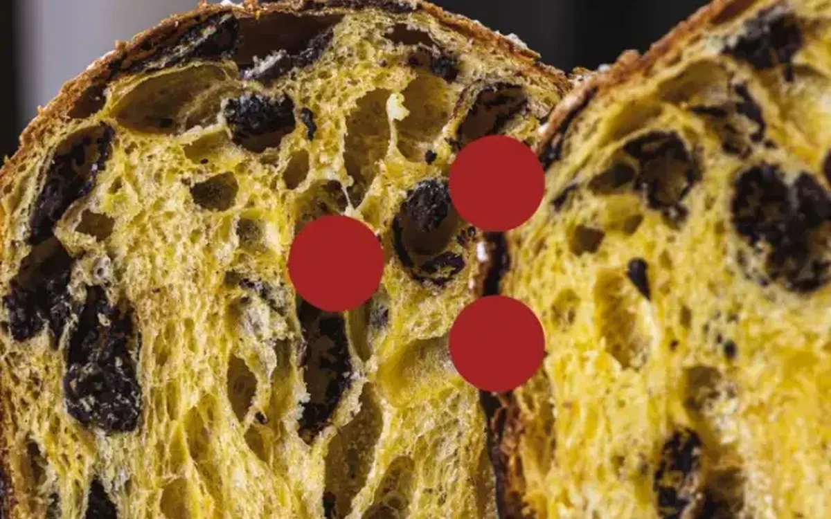 Scarica Il Panettone e la Colomba – Fudemy