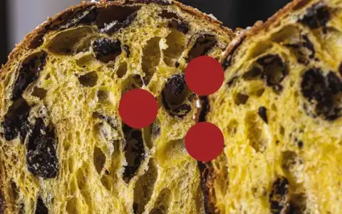 Scarica Il Panettone e la Colomba – Fudemy