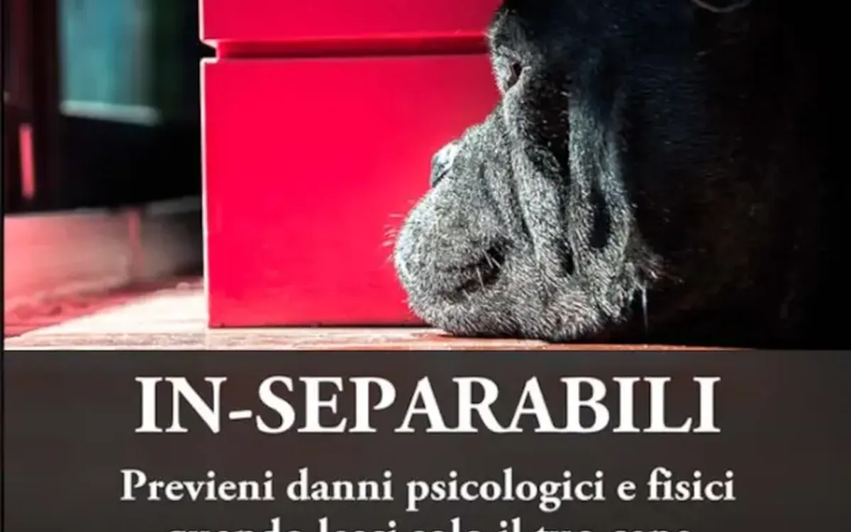 Scarica In-Separabili – Fantasticane