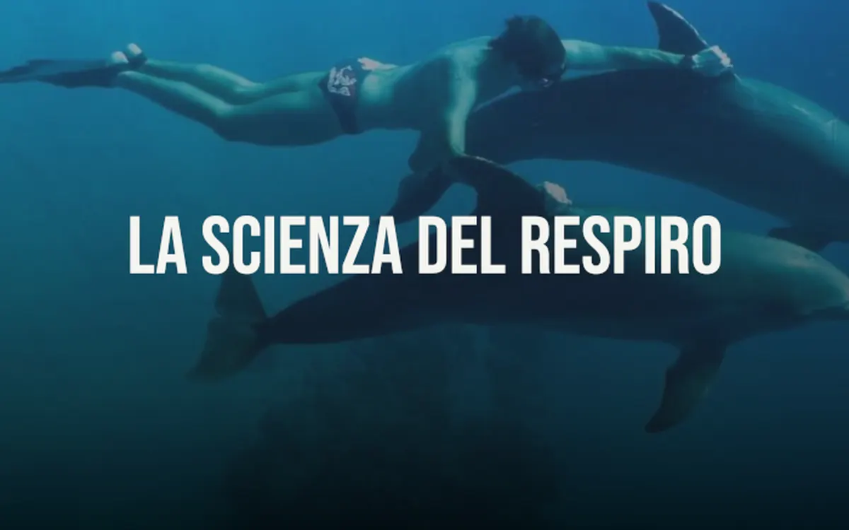 Scarica La Scienza del Respiro – Mike Maric