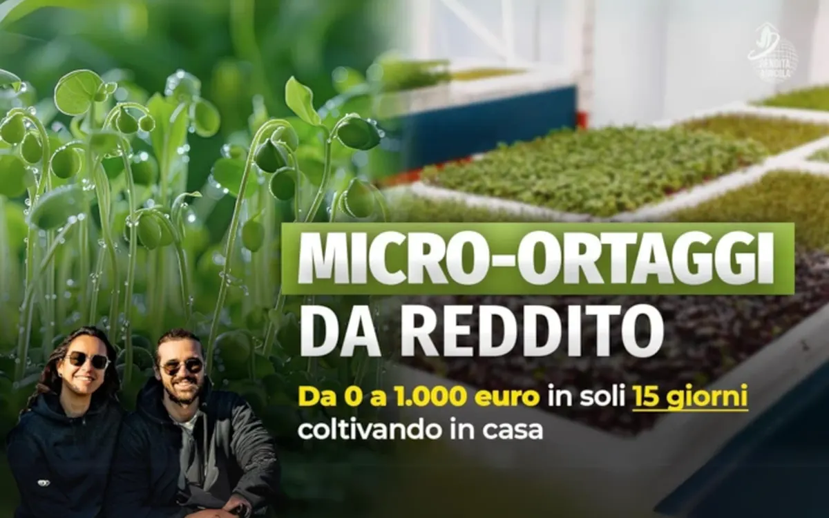 Scarica Micro-Ortaggi da Reddito – Rendita Agricola