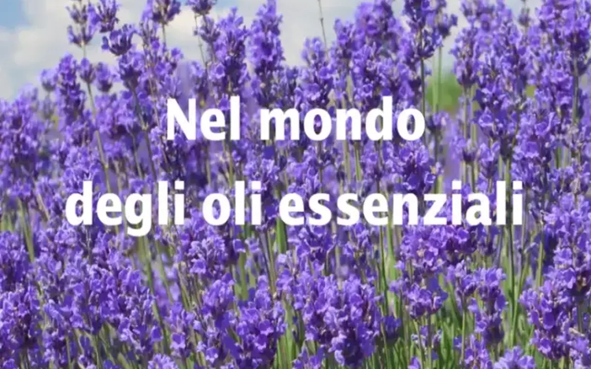 Scarica Nel mondo degli oli essenziali – Bosco di Ogigia