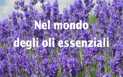 Scarica Nel mondo degli oli essenziali – Bosco di Ogigia