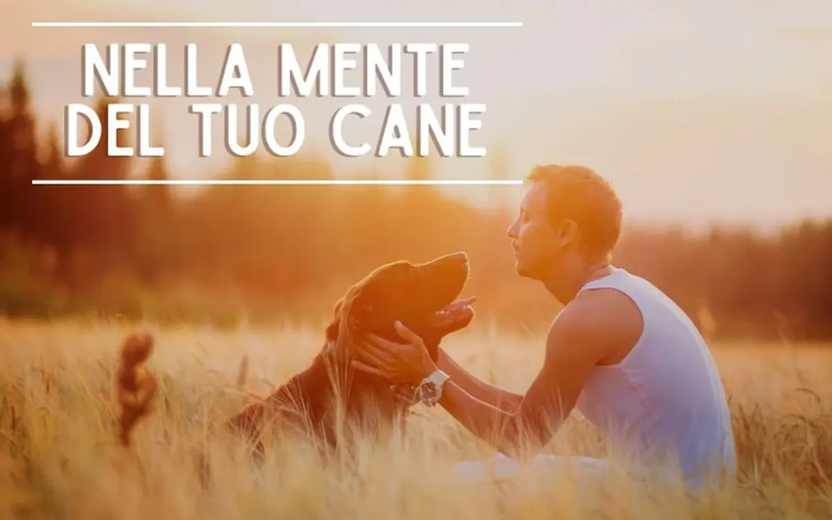 Scarica Nella Mente del tuo Cane – Educazione Cinofila