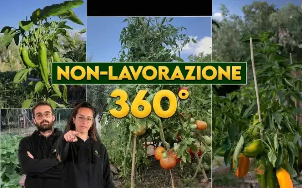 Scarica Orto Eterno: Non Lavorazione 360° – Rendita Agricola