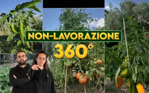 Scarica Orto Eterno: Non Lavorazione 360° – Rendita Agricola