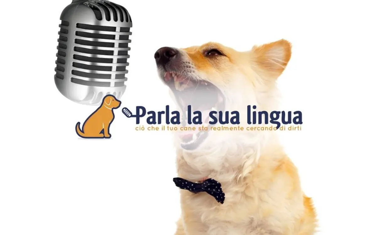 Scarica Parla la sua lingua – Fantasticane