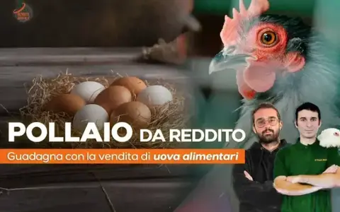 Scarica Pollaio da Reddito – Rendita Agricola
