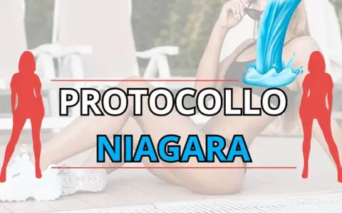 Scarica Protocollo Niagara – Luca di Approcciala.it