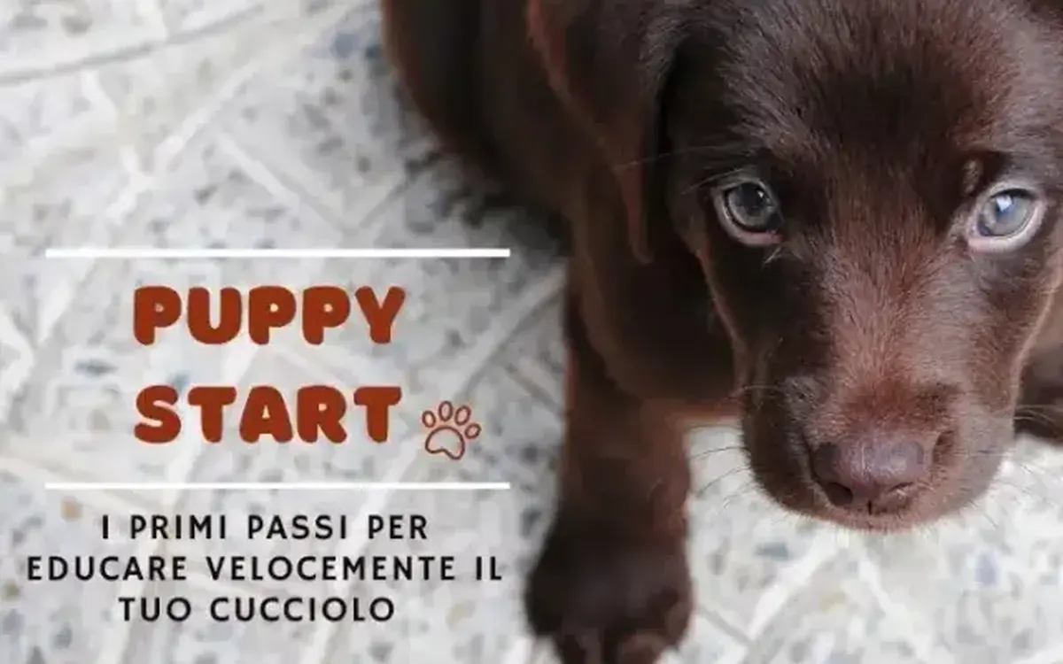Scarica Puppy Start – Educazione Cinofila