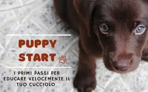 Scarica Puppy Start – Educazione Cinofila