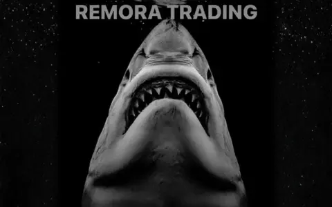 Scarica Remora Trading – Luigi Remoratrading