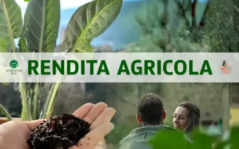 Scarica Rendita Agricola – Ecosystem BSC