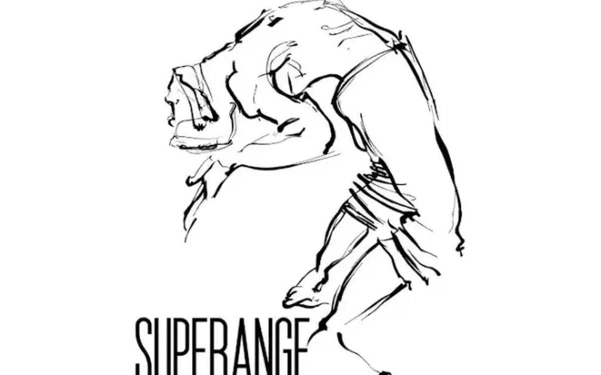 Scarica SupeRange – MoveInside