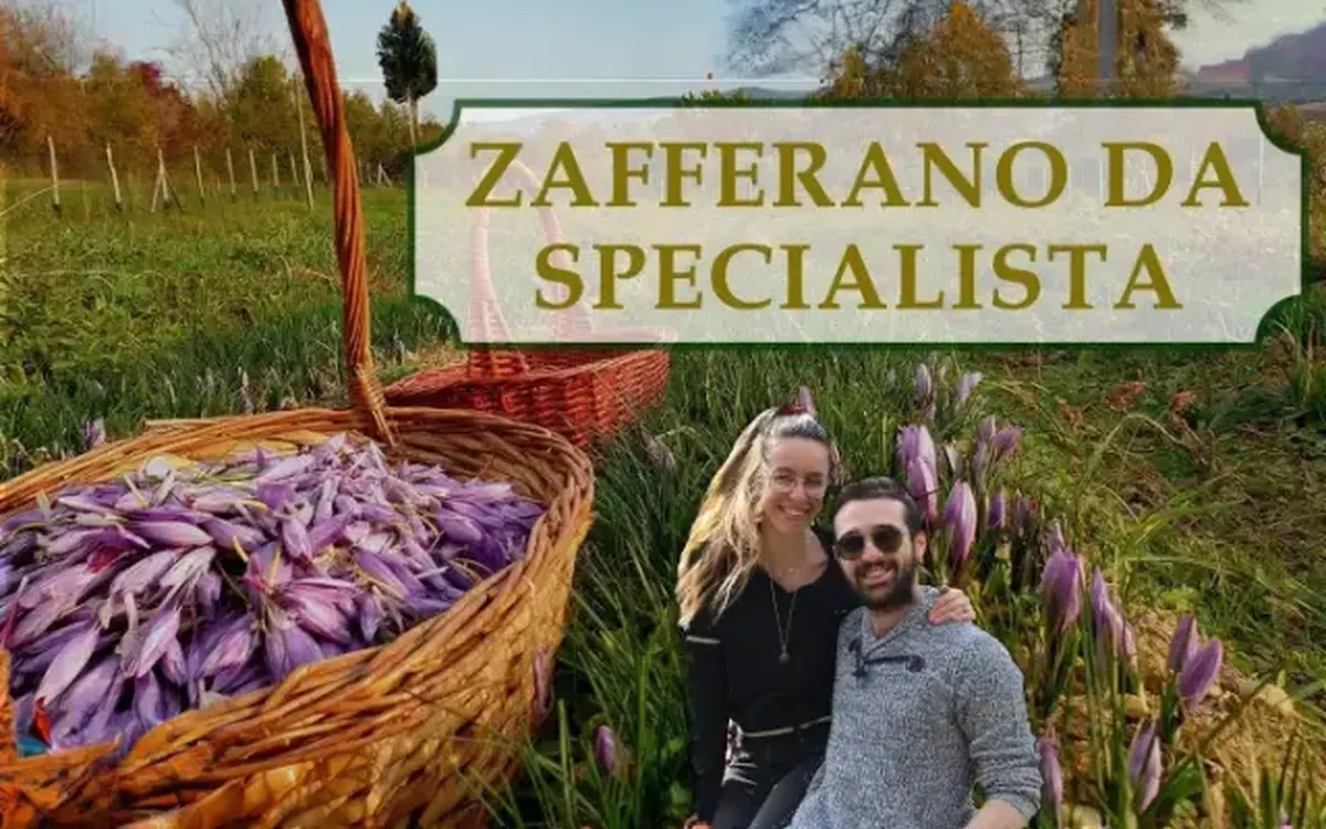 Scarica Zafferano Da Specialista – Rendita Agricola