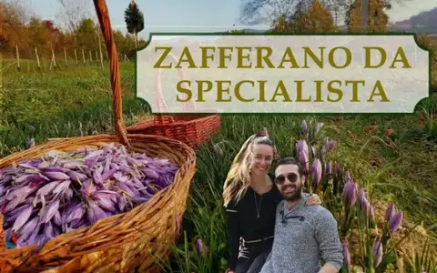 Scarica Zafferano Da Specialista – Rendita Agricola